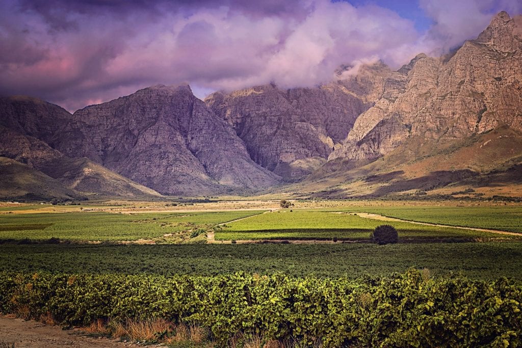 Western Cape