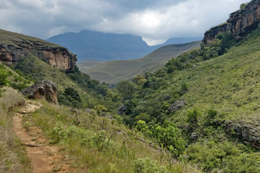 KwaZulu-Natal